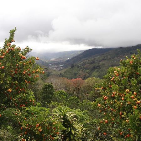 Casa Bartzis, Close To Orosi And Tapanti National Park 외부 사진